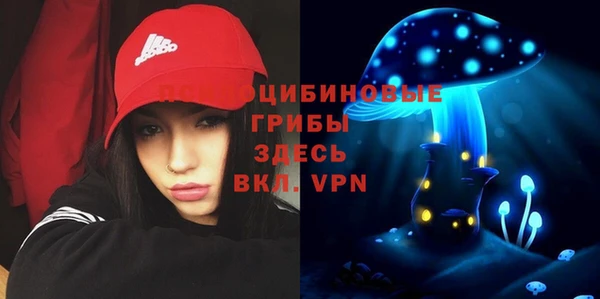 a pvp Аркадак
