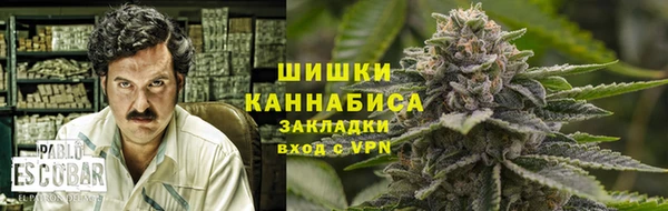 трава Армянск